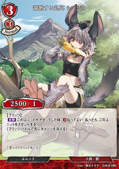 謳歌する丸耳 シンシラ 【D-B16-39N】
